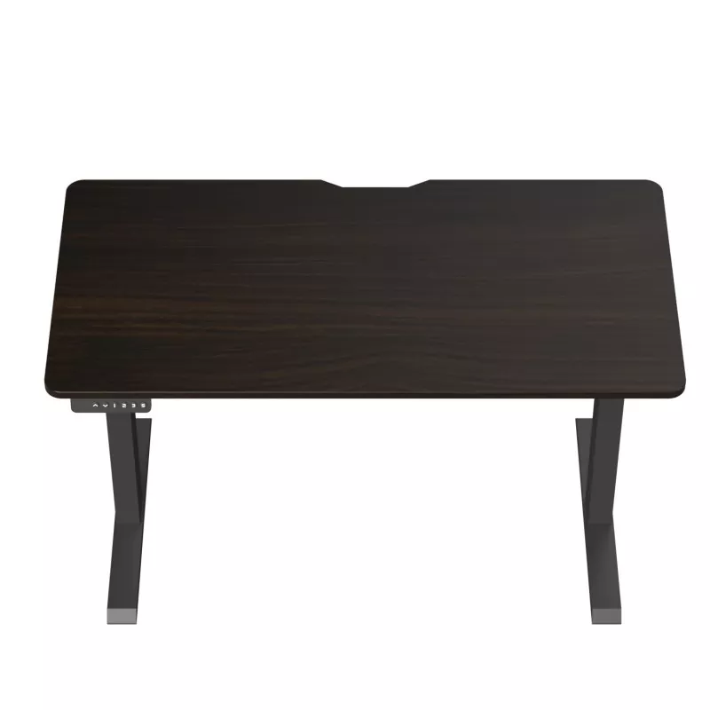 입자 보드 듀얼 모터 전기 리프팅 테이블