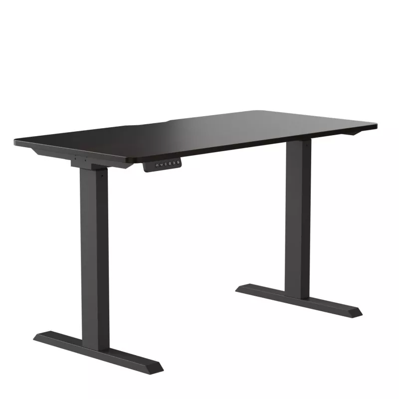 입자 보드 듀얼 모터 전기 리프팅 테이블