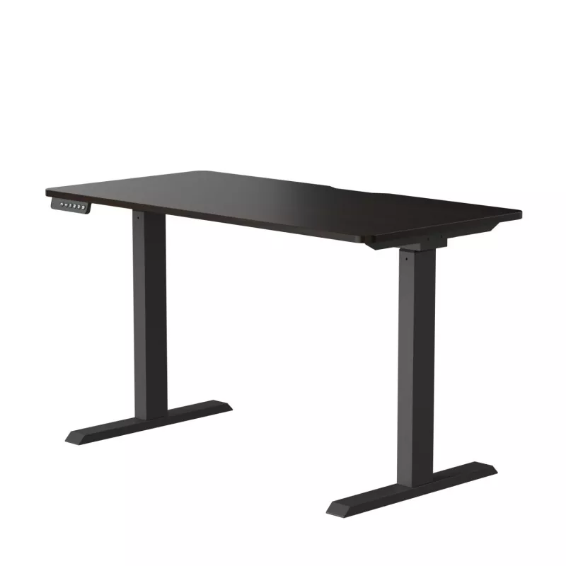 입자 보드 듀얼 모터 전기 리프팅 테이블