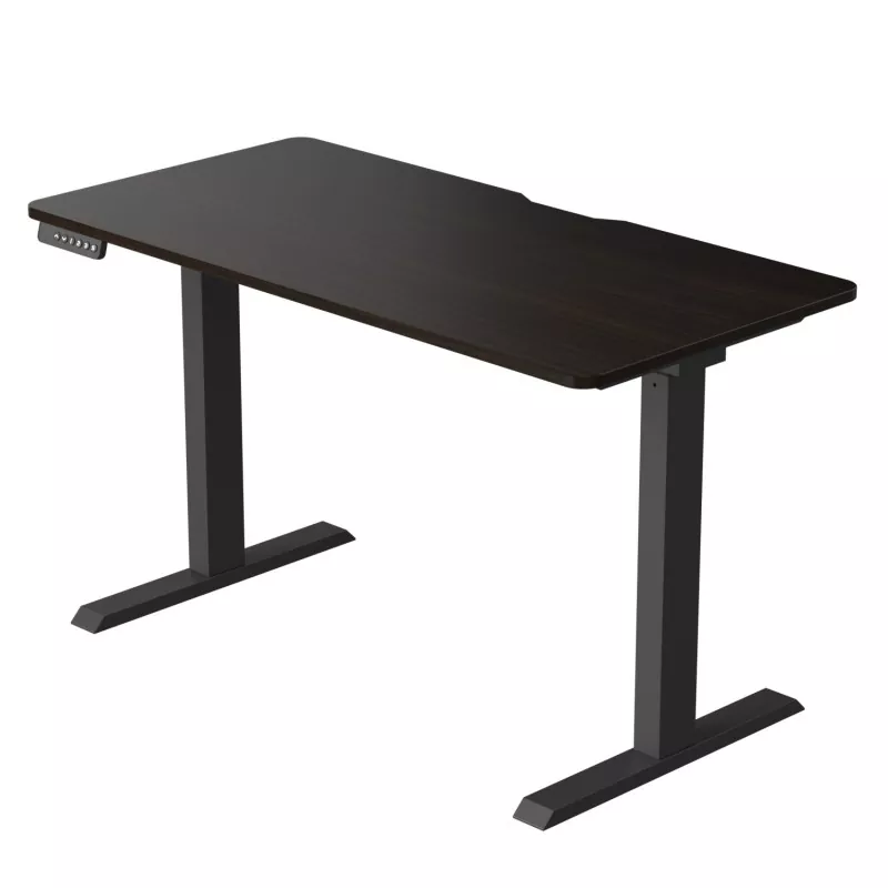 입자 보드 듀얼 모터 전기 리프팅 테이블