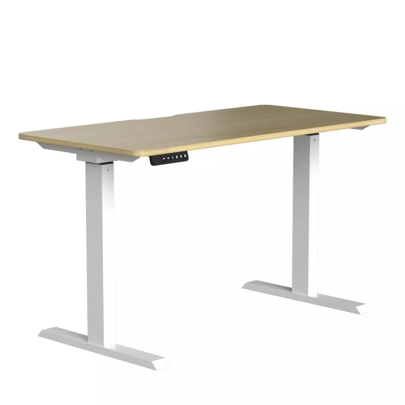 입자 보드 듀얼 모터 전기 리프팅 테이블